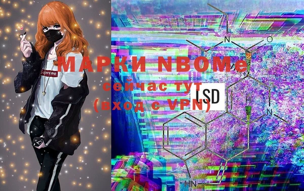 хмурый Нея
