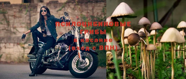 стафф Нефтекумск