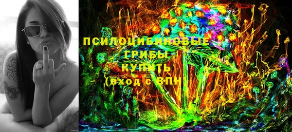 хмурый Нея