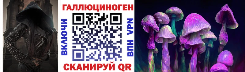 Галлюциногенные грибы Cubensis  Зеленогорск 