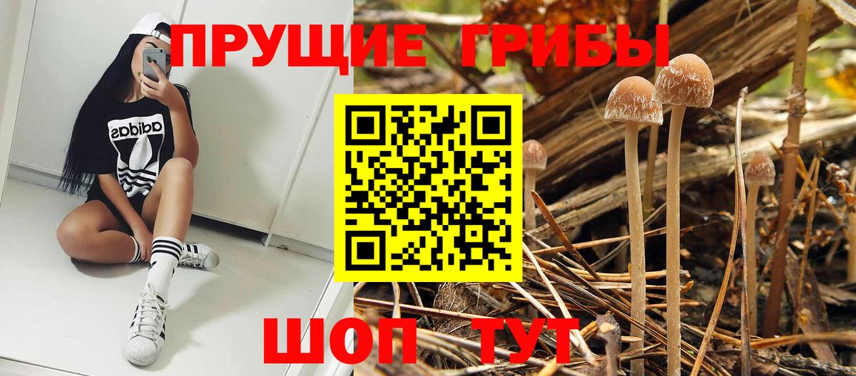Псилоцибиновые грибы мухоморы  Вход с VPN  Зеленогорск 