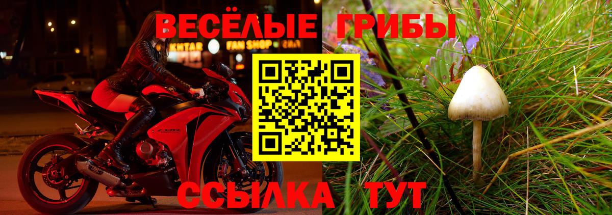 Галлюциногенные грибы GOLDEN TEACHER  Псилоцибиновые грибы ЛСД  где найти   Зеленогорск 