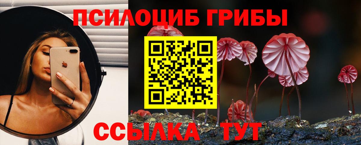 Псилоцибиновые грибы прущие грибы Зеленогорск