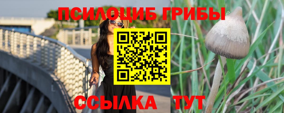 Галлюциногенные грибы Magic Shrooms Зеленогорск